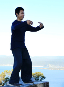 guía práctica de zhineng qigong